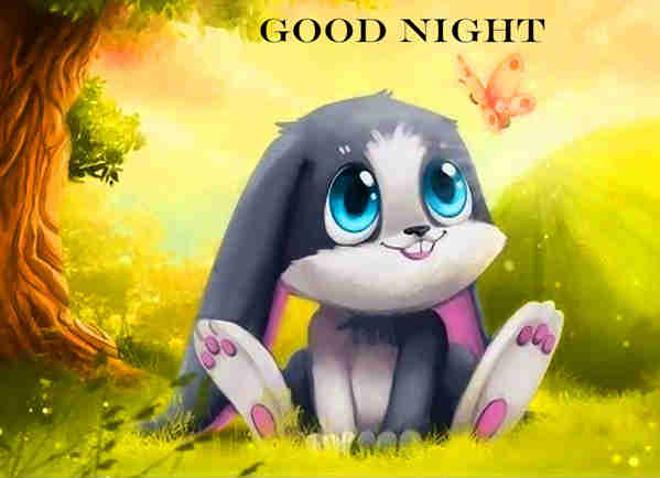 Good_night_cute